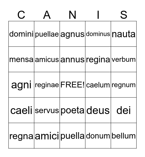 Latin NOUNS Bingo Card