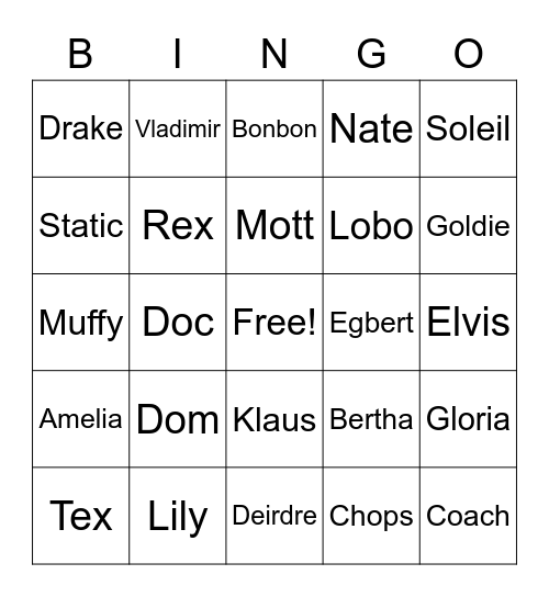 Saskia Bingo Card