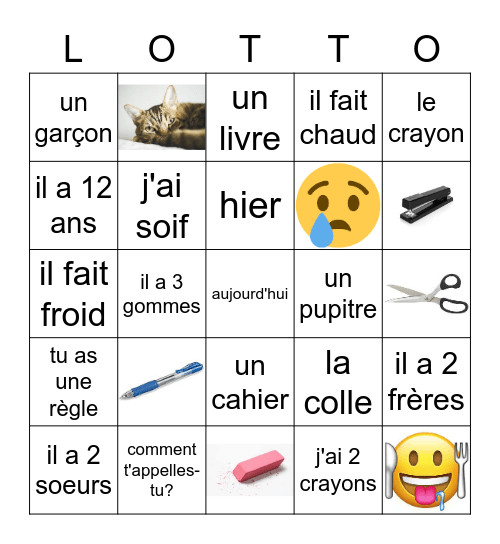 Français: grade 5/6 Bingo Card