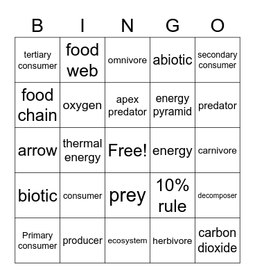 Energy in Food Bingo Card