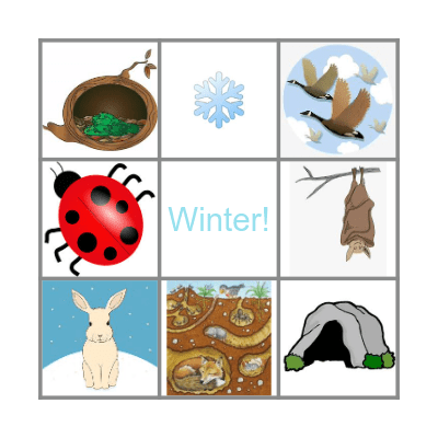 Hibernation Bingo Card