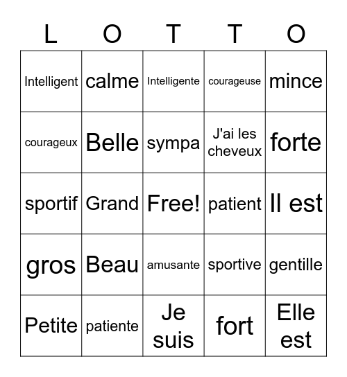 French adjectives Bingo Card