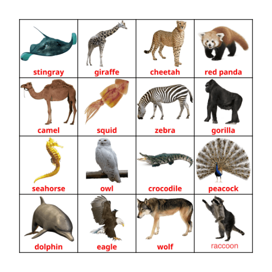 Animals Bingo Card