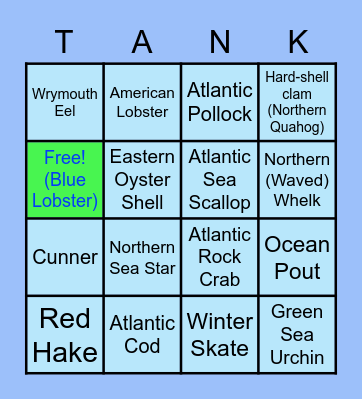 DEI's Touch Tank Bingo Card