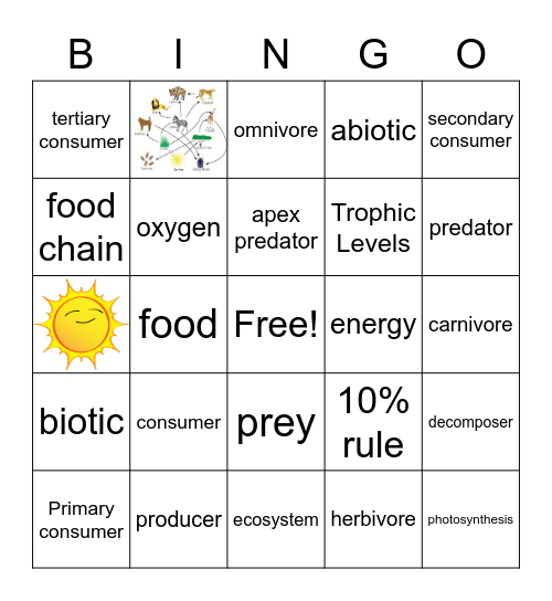 Energy in Food Bingo Card
