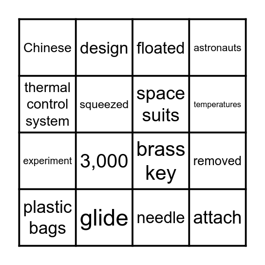 2.7  Space Flight/Kites Bingo Card