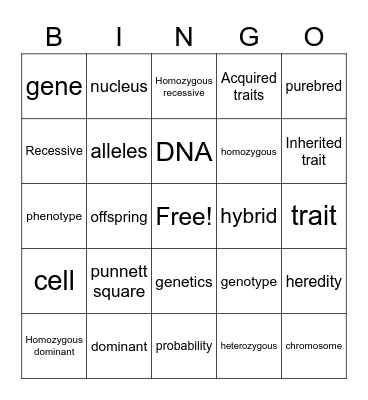 Mrs. Maize's Genetics and More Review pt.2 Bingo Card