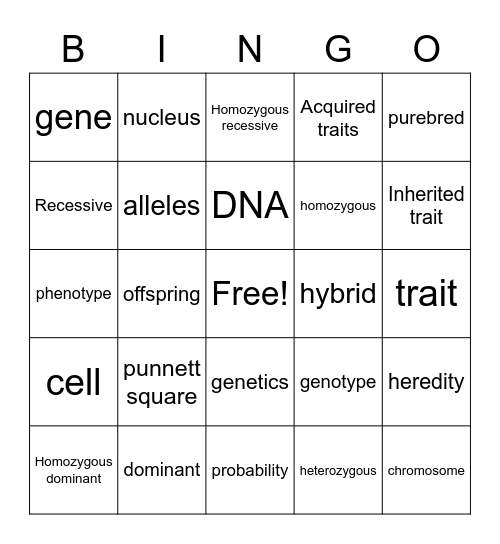 Mrs. Maize's Genetics and More Review pt.2 Bingo Card