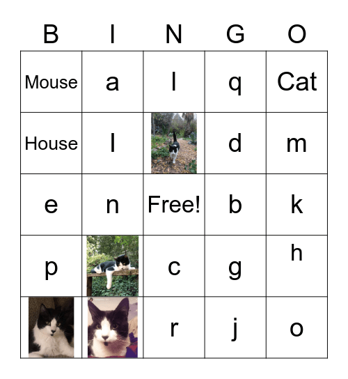 EcoRing Bingo Card