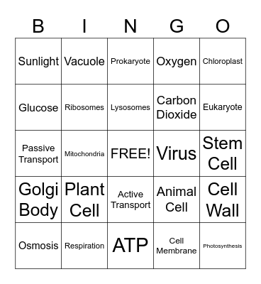 Life Science! Bingo Card