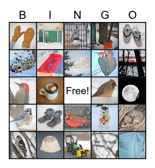 Winter Bingo Card