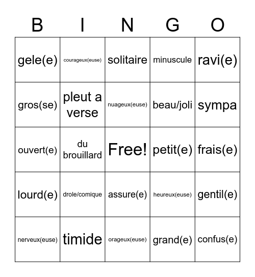 Les Adjectifs One Teacher's Adventure Bingo Card