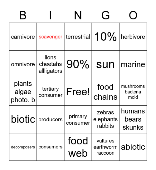 Flow of energy bingo Card