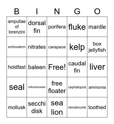 Marine Biology Final Bingo Card