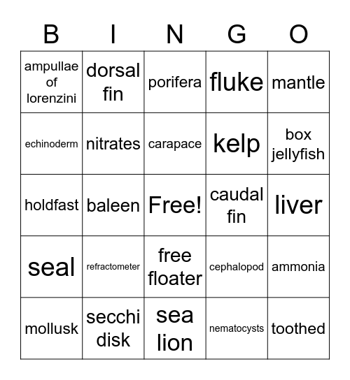 Marine Biology Final Bingo Card