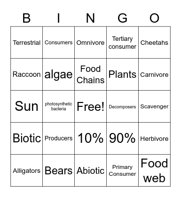 Flow of energy Bingo Card