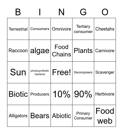 Flow of energy Bingo Card