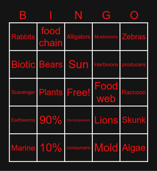 energy flows Bingo Card