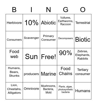 flow of energy Bingo Card
