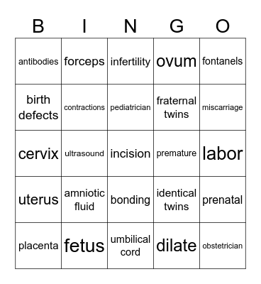 Pregnancy, Labor & Delivery Bingo Card