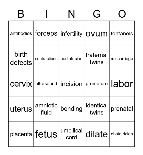 Pregnancy, Labor & Delivery Bingo Card