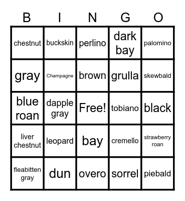 Horse Color Bingo Card