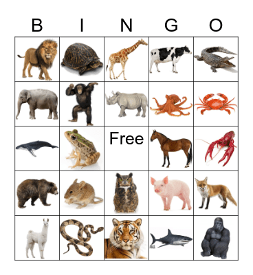 Animals Bingo Card