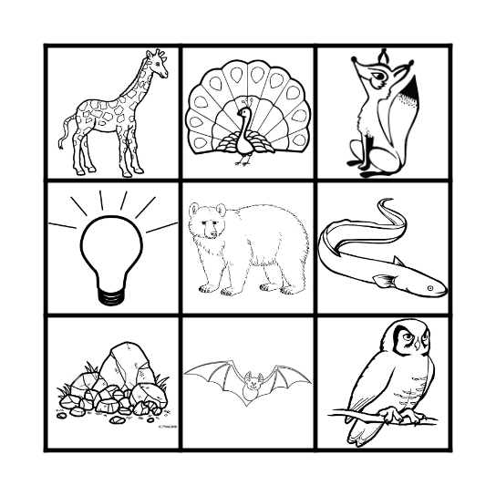 Unit 1: Fearless Phil Bingo Card