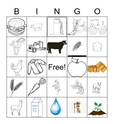 Agriculture Bingo Card
