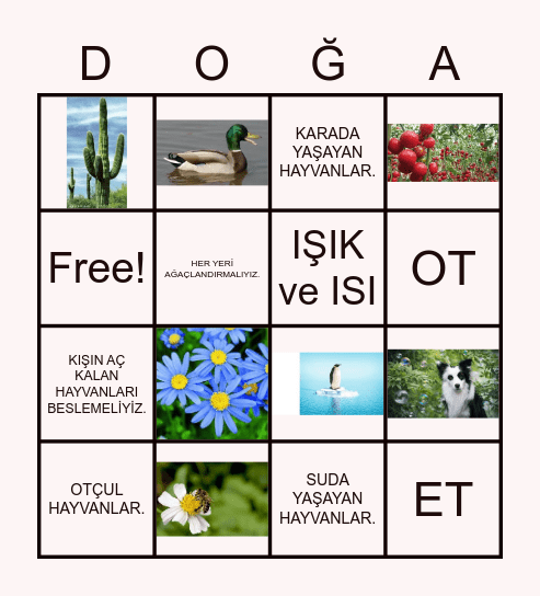 DOĞA ve HAYAT Bingo Card