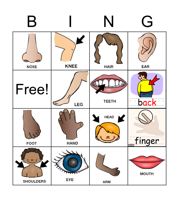 Body Parts Bingo Card