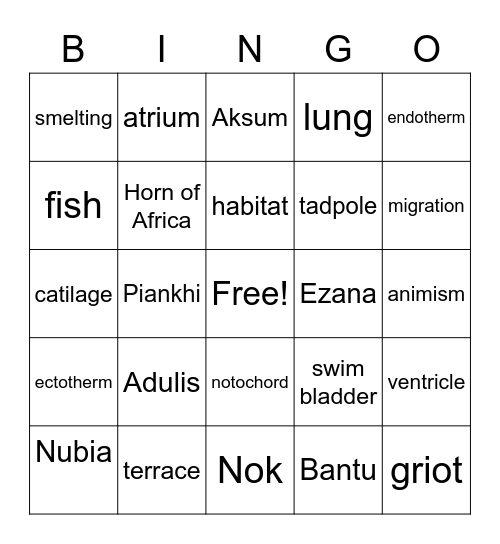 S.S/Science Bingo Card