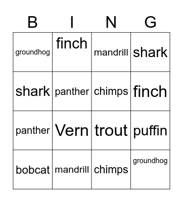 Green Fern Zoo Bingo Card