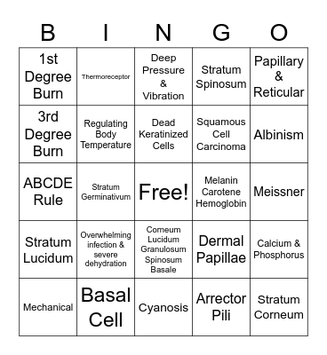 Integumentary System BINGO Card