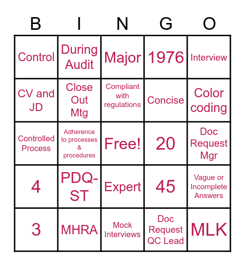 Audit and Inspection Bingo! Bingo Card