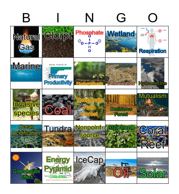 Ecosystems Bingo Card