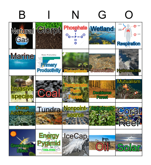 Ecosystems Bingo Card