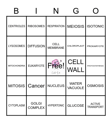 CELL-A-BRATE CELLS Bingo Card