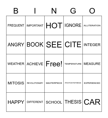 Vocabulary Words Bingo Card