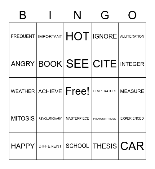 Vocabulary Words Bingo Card