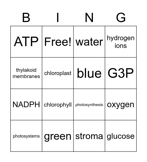 Photosynthesis-Advanced Bingo Card