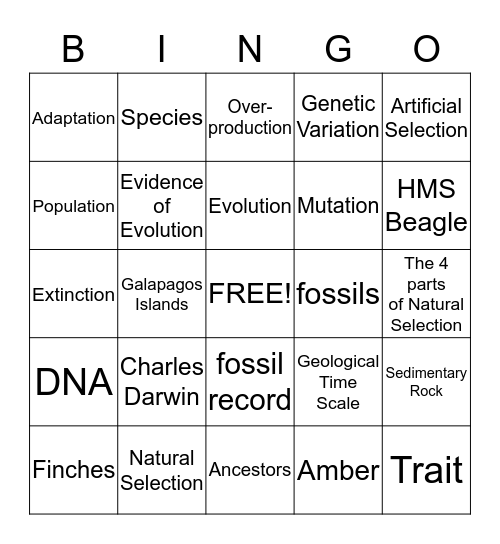 EVOLUTION Bingo Card