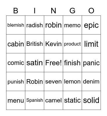 VC/V words Bingo Card