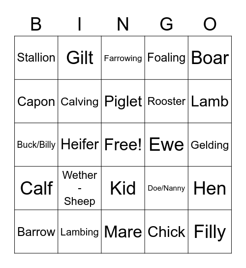 animal-terminology-bingo-card