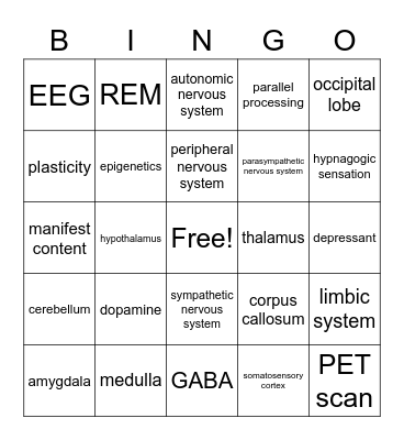AP Psych Unit 2 Review Bingo Card