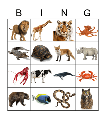 Animals Bingo Card