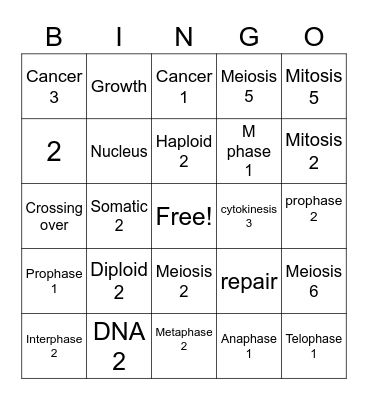 Cell Cycle and Division Bingo Card