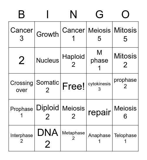 Cell Cycle and Division Bingo Card