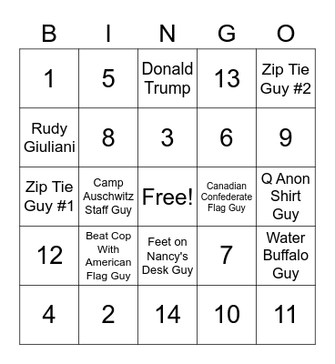 Domestic Terrorist Bingo Card