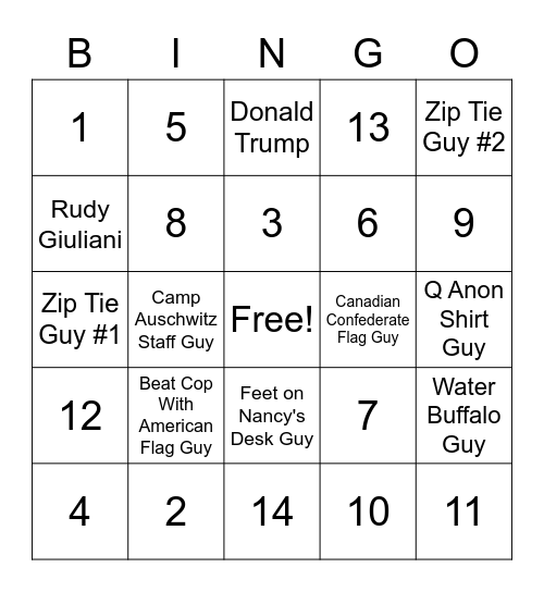 Domestic Terrorist Bingo Card